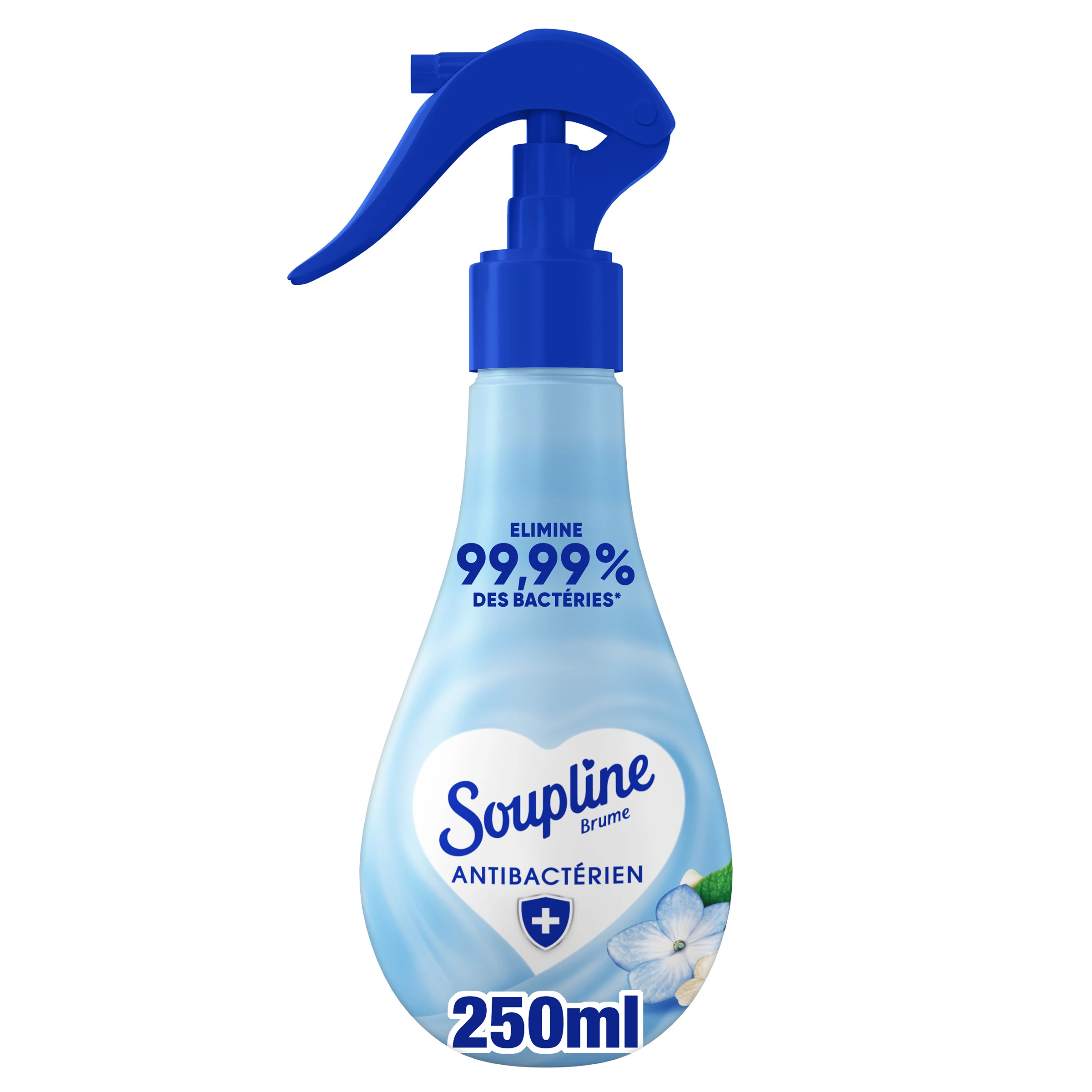 Soup Brume Anti Bac 250ml