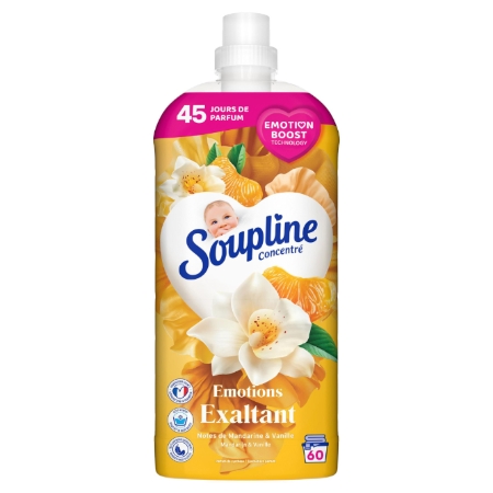 Soup Ultra 45jours Vanille 120