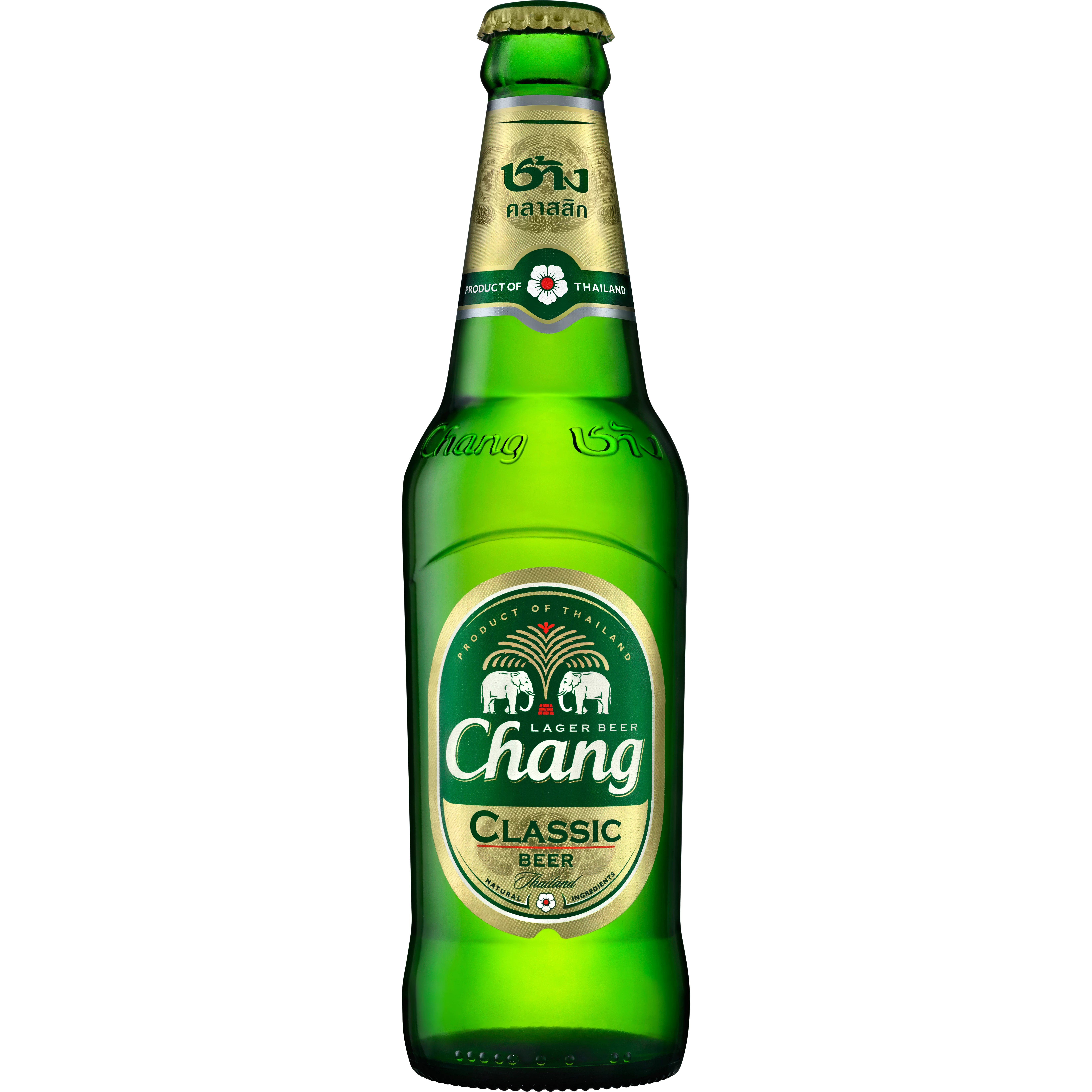 Cervezas 5 Alc - Plato 11.1 24 X 320 Ml - CHANG