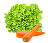 Grossiste Fruits et Légumes