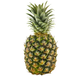 Ananas Bateau X7
