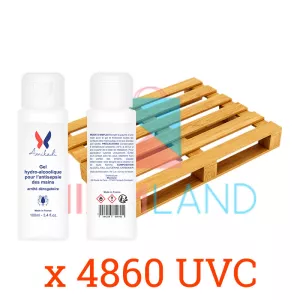 palette Gel Hydroalcoolique 100ml - AMIKADI
