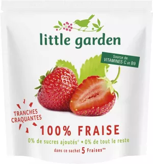 Knusprige Erdbeerscheiben 11g - LITTLE GARDEN