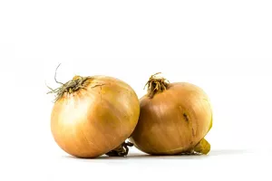 OIGNON JAUNE CAL 60-80 FRANCE