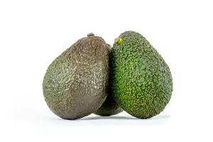 AVOCAT HASS 18/20 ESPAGNE