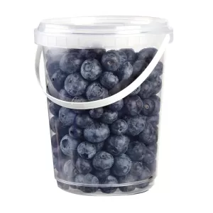 Myrtille Sceau 500g Cx6 X6