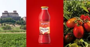 Puree Tom.nat Mutti 2x235g