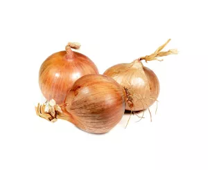 OIGNON ROSÉ (TYPE ROSCOFF) FRANCE