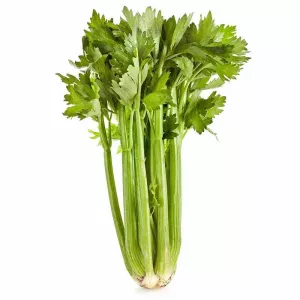 Celeri Branche  (6 kg)
