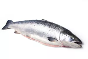 Ganzer schottischer Red-Label-Lachs 3/4 kg (1 kg)