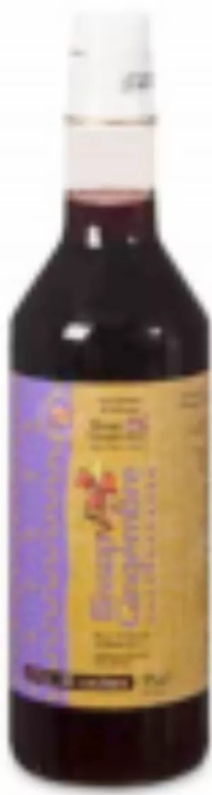 Sirop de bissap-gingembre RACINES (12 x 75 cl)