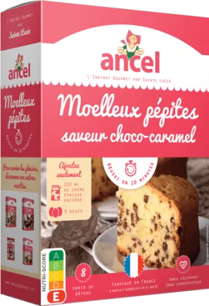 Moelleux Pépites Gourmandes 72g - ANCEL