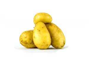 POM. DE TERRE PRIMEUR CAL 28 MM ET + BRETAGNE