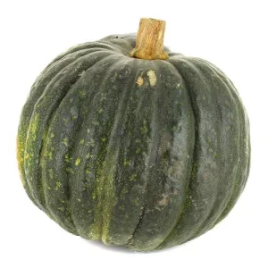 COURGE SHIATSU FRANCE