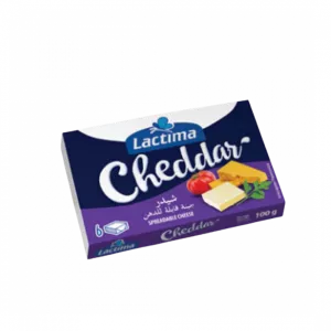 Cheddar (6) 100gr Cx20