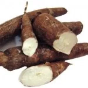 Manioc