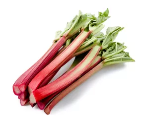 Rhubarbe (5 kg)