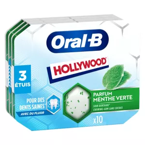 Chicle Menthe Verte 17g - HOLLYWOOD