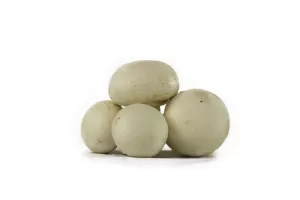 CHAMPIGNON DE PARIS BLANC VRAC 2 KG (GROS PIEDS COUPÉS)