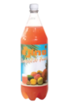 Cocktail de fruits D'JINO (12 x 65 cl)