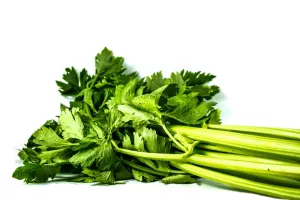 CÉLERI BRANCHE VERT FRANCE VRAC 3 KG