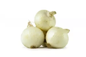 OIGNON FRAIS BLANC PLAT ITALIE LITÉ 5 KG
