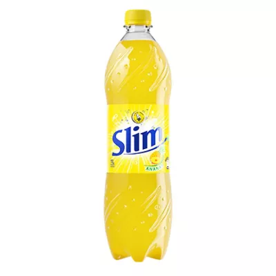 细长凤梨宠物 1l - HAMOUD BOUALEM