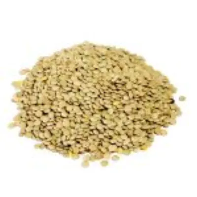 Lentilles blondes 4mm 5kg - LEGUMOR