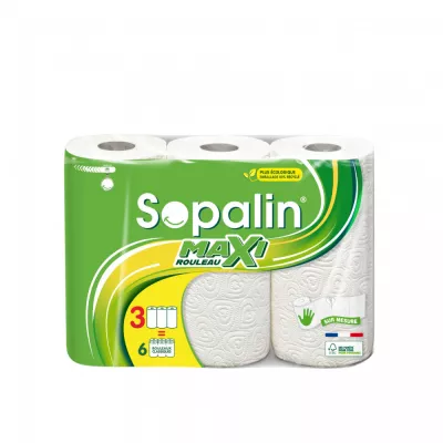 Essuie-tout prédécoupé maxi 3=6 - SOPALIN