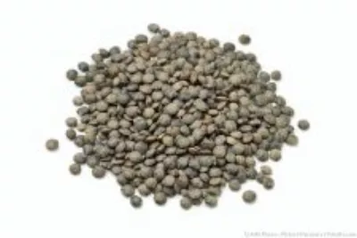 Lentilles vertes 25kg - LEGUMOR