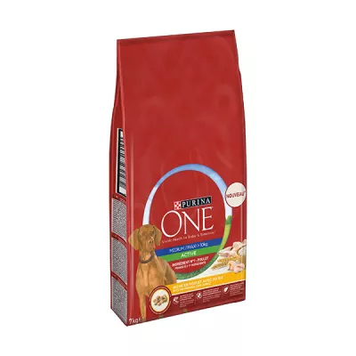 Croquettes pour chien Active Medium / Maxi saveur poulet +10 kg - PURINA