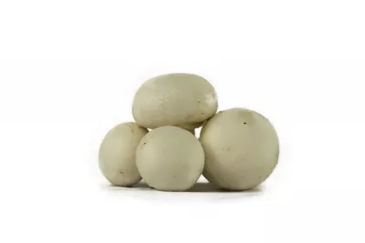 CHAMPIGNON DE PARIS BLANC VRAC 2 KG (GROS PIEDS COUPÉS)