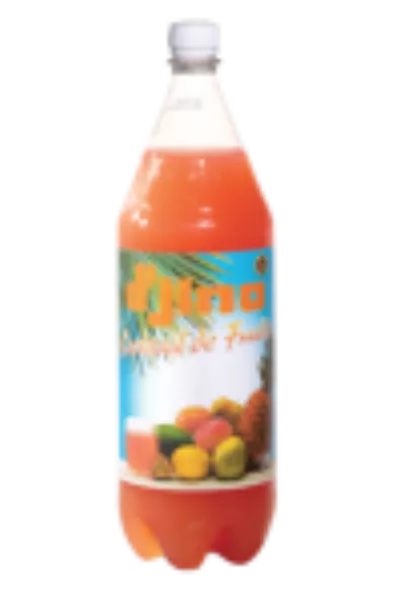 Cocktail de fruits D'JINO (12 x 65 cl)