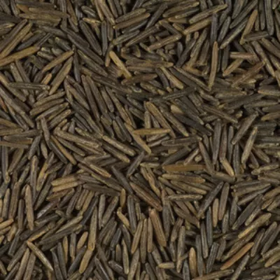 Riz noir Thaï 25kg - RIZ DU MONDE