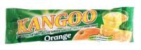 Boisson Fruitée Instantanée Kangoo Orange 300 x 10 g