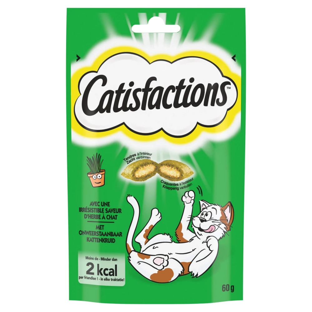 Catisfaction Herbe A Chat 60г