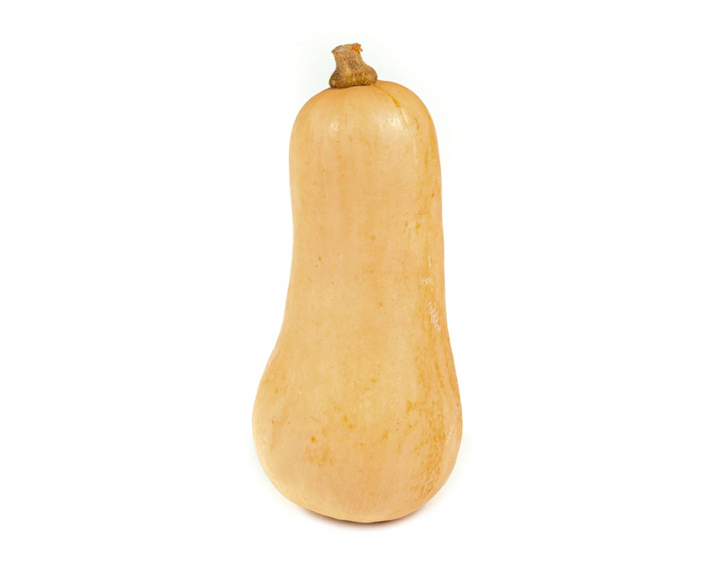 COURGE NOIX DE BEURRE M (800/1200 G) ESPAGNE