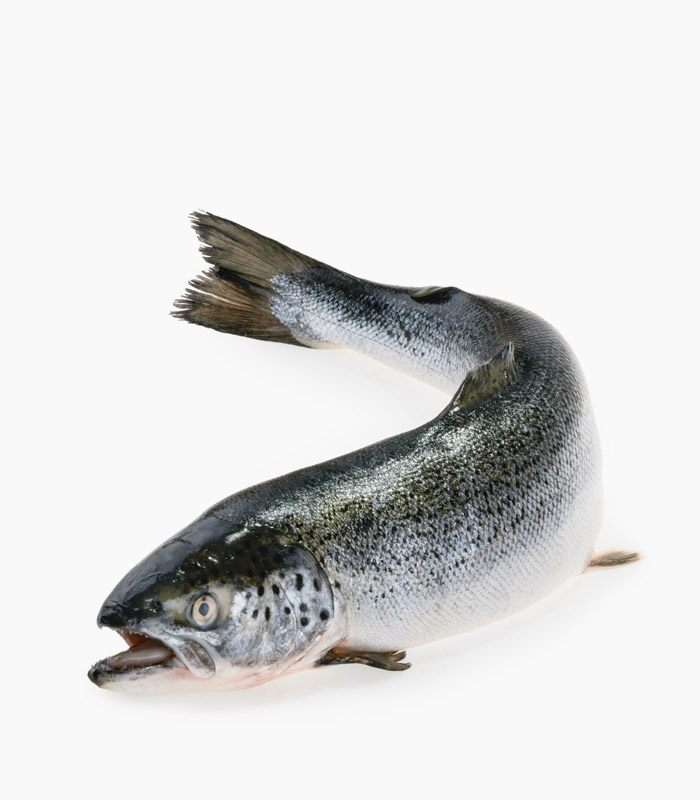 Salmone Intero Biologico 5/6kg (1 kg)