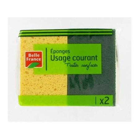 Common Use Scratching Sponge x 2 - BELLE FRANCE