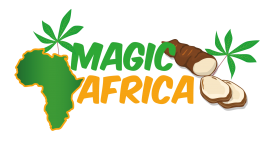 Grossiste MAGIC AFRICA
