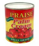 Sauce Graine Palme Premium Praise 100% Ghana Boite 4 - 4 x 24