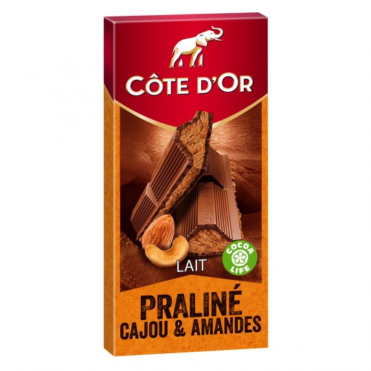 Praline and almond milk chocolate bar 200g - COTE D'OR