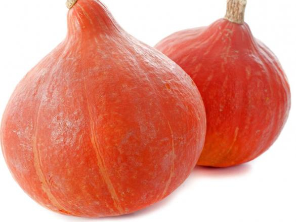 Potimarron  (13 kg)