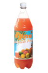 Cocktail de fruits D'JINO (12 x 65 cl)