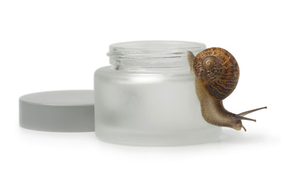 Bave d'escargot 1kg