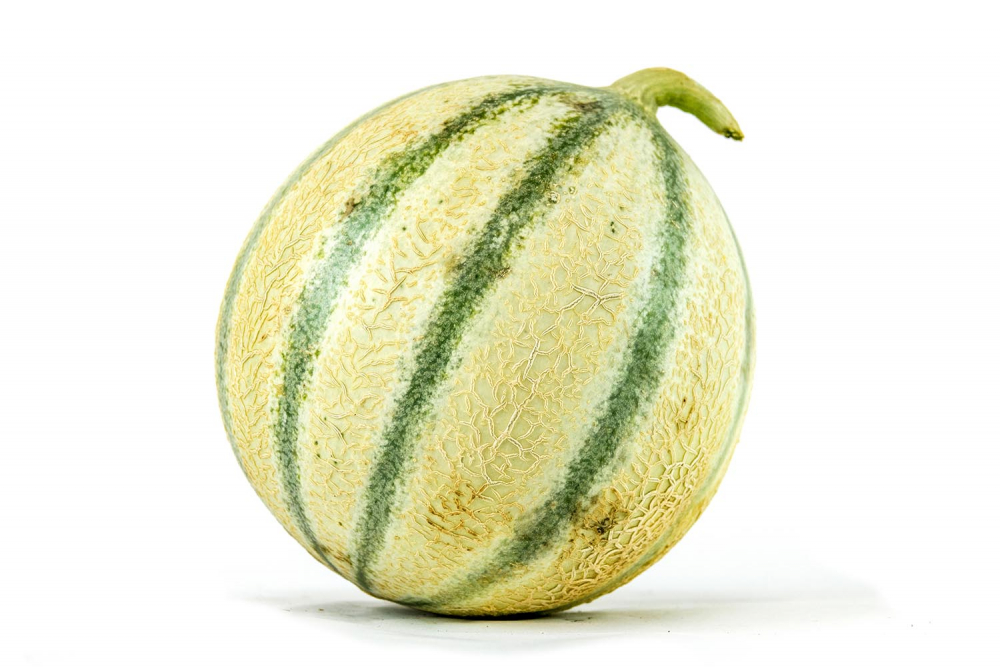 Melon Charentais